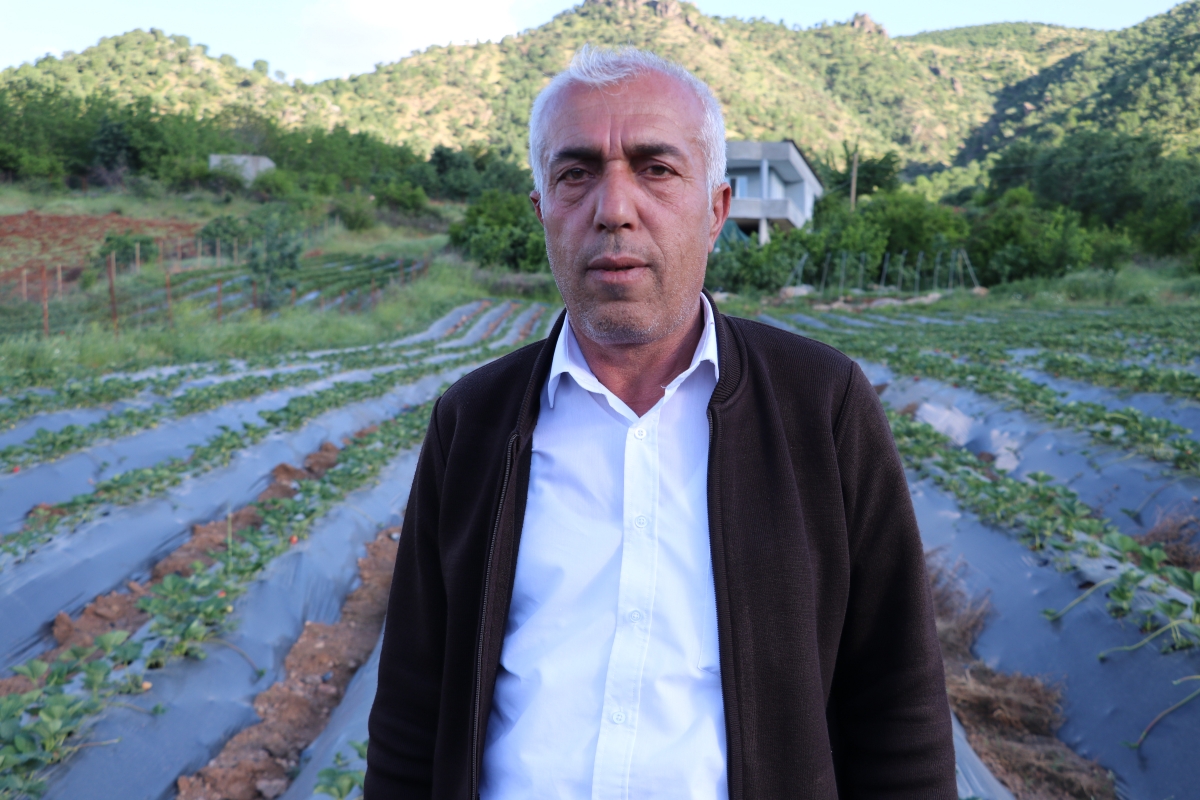 Sason çileği coğrafi işaret olarak tescillendi 