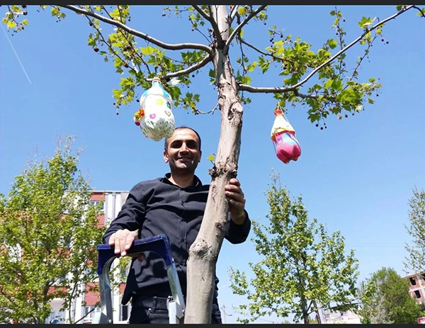 ŞEKER KOKAN BİR OKUL