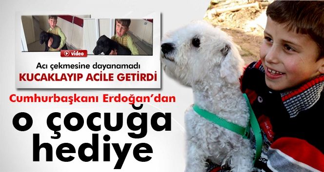 Erdoğan, hayvansever Ömer Faruk’a köpek hediye etti
