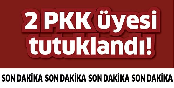 2 PKK ÜYESİ TUTUKLANDI!