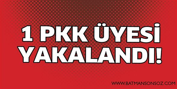 1 PKK ÜYESİ YAKALANDI!