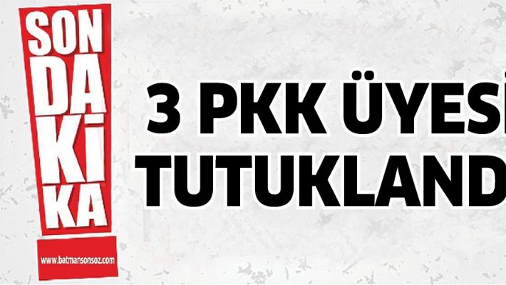 3 PKK ÜYESİ TUTUKLANDI
