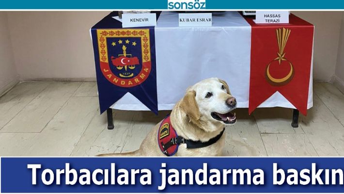 TORBACILARA JANDARMA BASKINI!