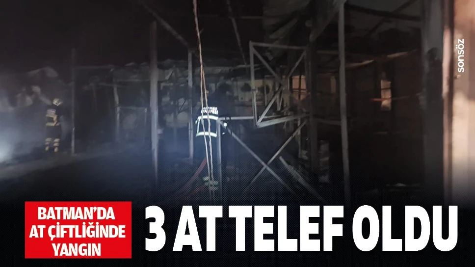 Batman'da at çiftliğinde yangın: 3 at telef oldu