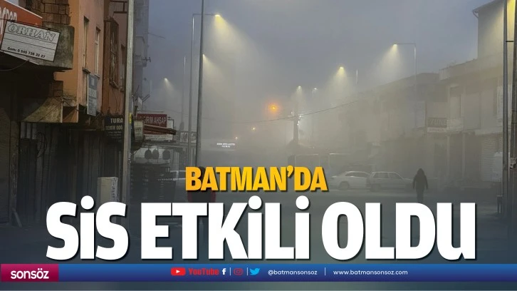 Batman'da sis etkili oldu