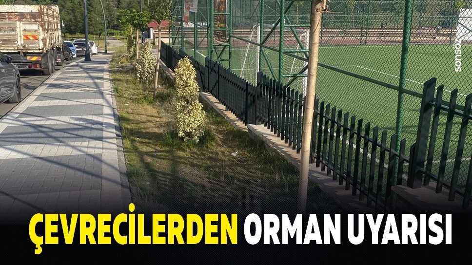 Çevrecilerden orman uyarısı