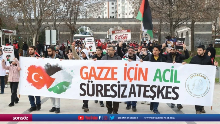 Diyarbakır'da hekimlerden İsrail'e karşı "sessiz yürüyüş"