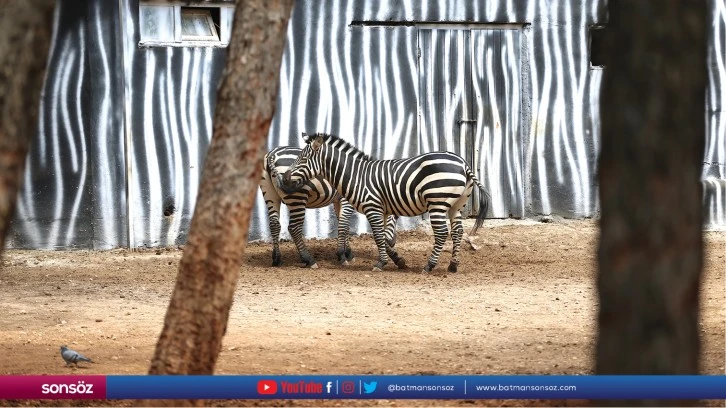 Gaziantep'teki hayvanat bahçesi bayram tatiline "kalabalık" başladı