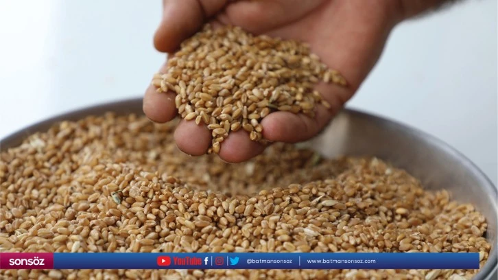 İlk hasat edilen buğdayı Gaziantep Ticaret Borsasında işlem gördü