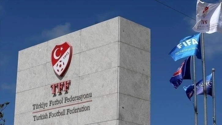 İstanbul Fenerbahçeli futbolcular ve Trabzonspor antrenörü PFDK'ye sevk edildi
