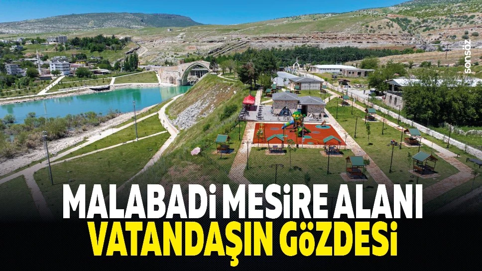 Malabadi mesire alanı vatandaşın gözdesi
