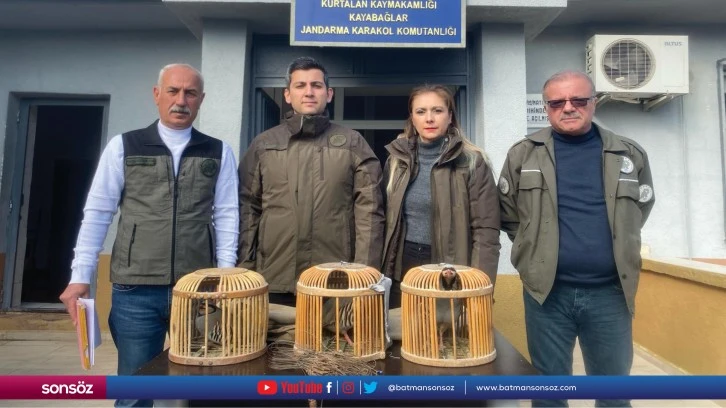 Siirt'te ele geçirilen 3 kınalı keklik doğaya salındı
