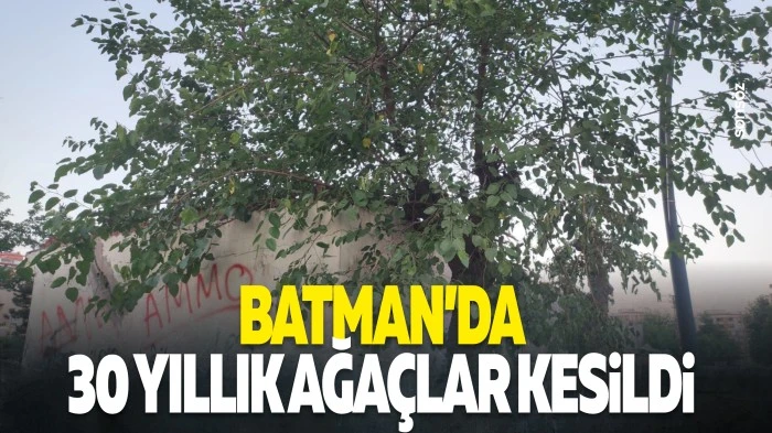 Batman&rsquo;da 30 yıllık ağa&ccedil;lar kesildi