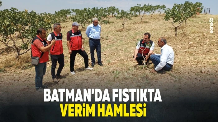 Batman&rsquo;da fıstıkta verim hamlesi