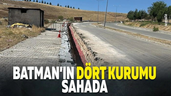 Batman'ın d&ouml;rt kurumu sahada
