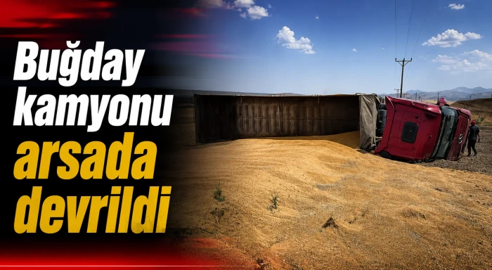 Buğday kamyonu arsada devrildi