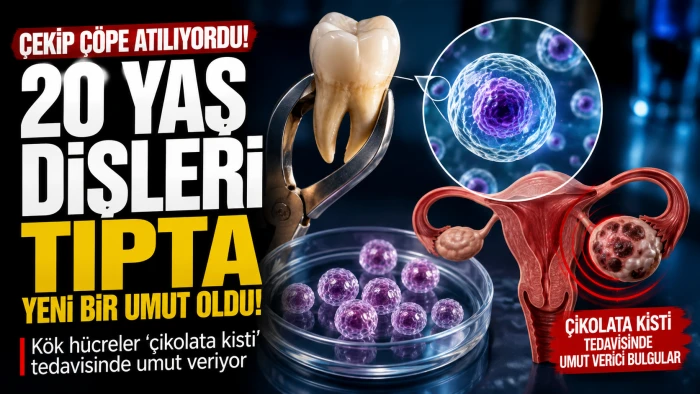 &Ccedil;ekilip &Ccedil;&ouml;pe Atılan 20 Yaş Dişleri Tıpta Umut Oldu