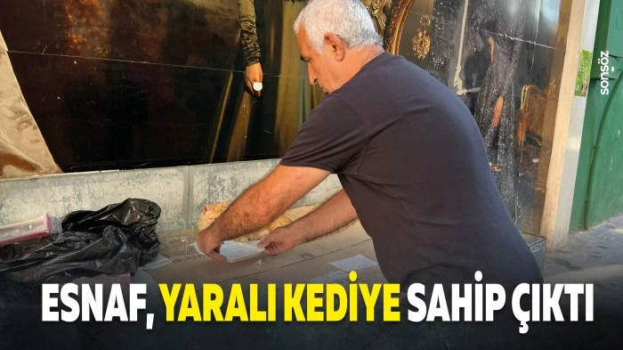 Esnaf, yaralı kediye sahip &ccedil;ıktı