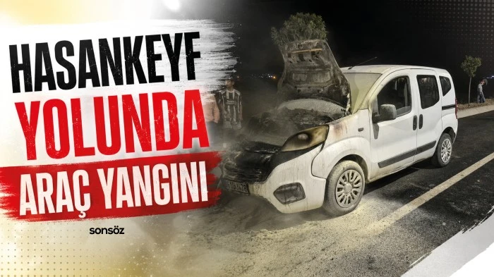 Hasankeyf yolunda ara&ccedil; yangını