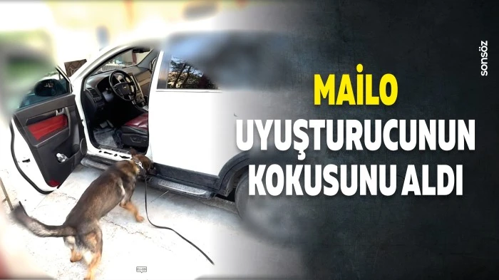 Mailo, uyuşturucunun kokusunu aldı