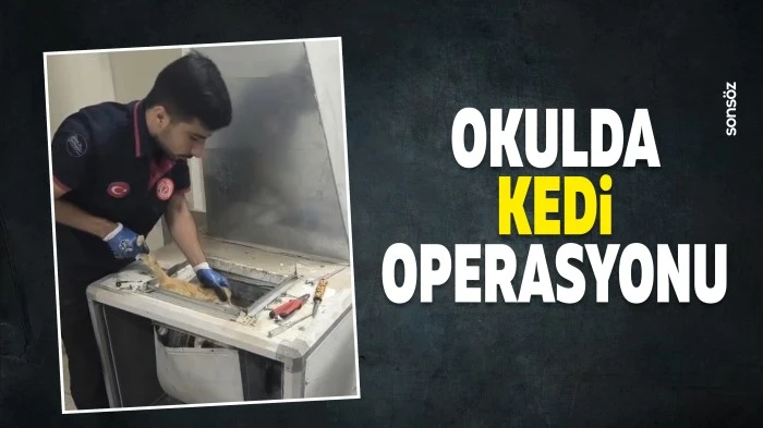 Okulda kedi operasyonu