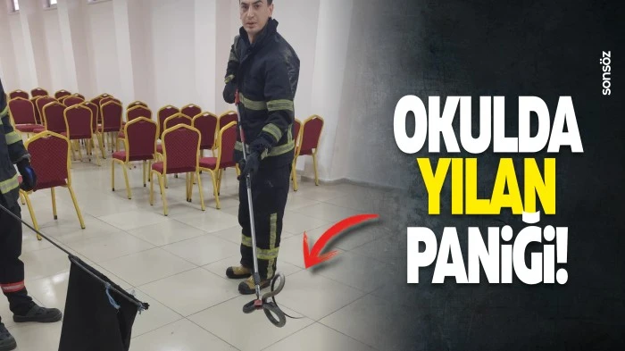 Okulda yılan paniği!