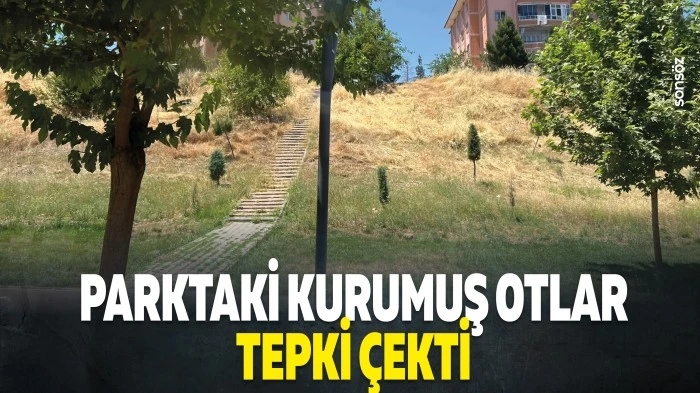 Parktaki kurumuş otlar tepki &ccedil;ekti