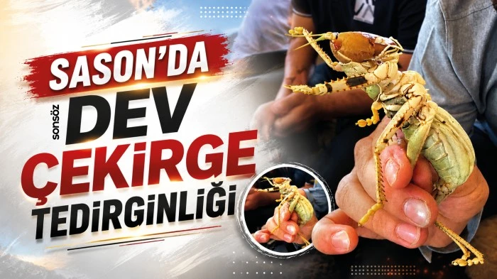 Sason'da dev &ccedil;ekirge tedirginliği
