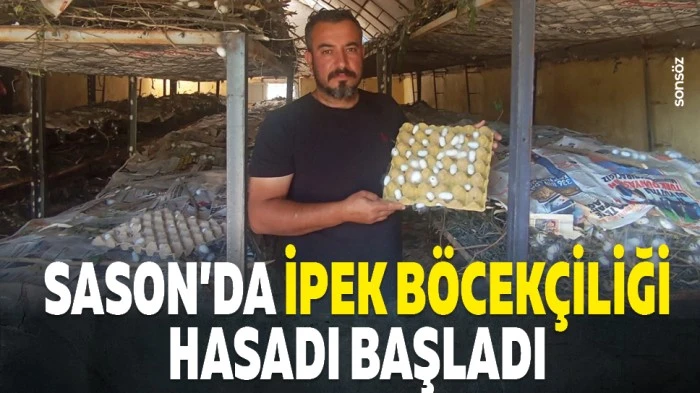 Sason&rsquo;da ipek b&ouml;cek&ccedil;iliği hasadı başladı