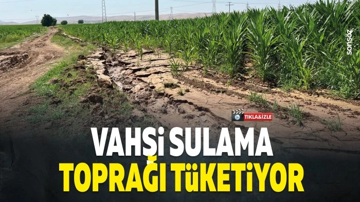 Vahşi sulama toprağı t&uuml;ketiyor