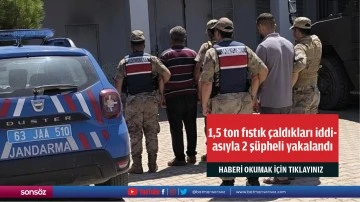 1,5 ton fıstık &ccedil;aldıkları iddiasıyla 2 ş&uuml;pheli yakalandı