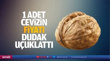 1 adet cevizin fiyatı dudak u&ccedil;uklattı