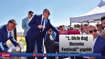 &ldquo;1. Dicle Bağ Bozumu Festivali&rdquo; yapıldı