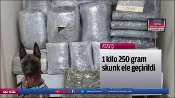 1 kilo 250 gram skunk ele ge&ccedil;irildi