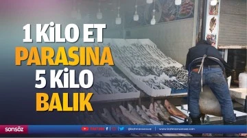 1 kilo et parasına 5 kilo balık&hellip;