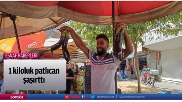 1 kiloluk patlıcan şaşırttı