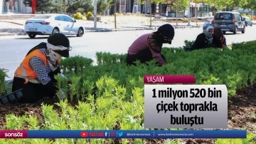 1 milyon 520 bin çiçek toprakla buluştu