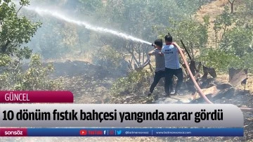10 d&ouml;n&uuml;m fıstık bah&ccedil;esi yangında zarar g&ouml;rd&uuml;