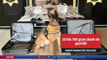 10 kilo 700 gram skunk ele ge&ccedil;irildi