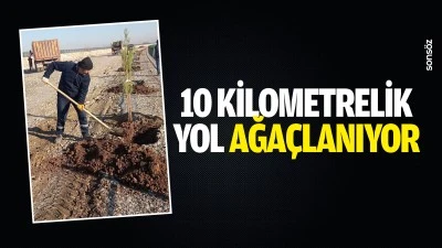 10 kilometrelik yol ağa&ccedil;lanıyor