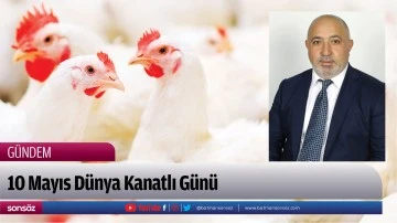 10 Mayıs D&uuml;nya Kanatlı G&uuml;n&uuml;