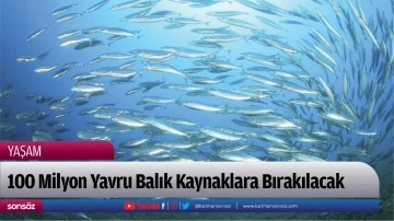 100 Milyon Yavru Balık Kaynaklara Bırakılacak 