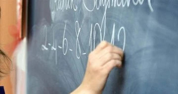 100 &ouml;ğrencisi olan her okulda bir rehber &ouml;ğretmen