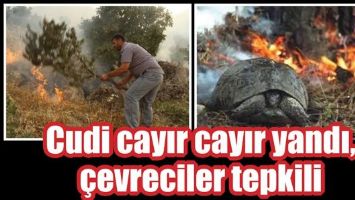 CUDİ CAYIR CAYIR YANDI, &Ccedil;EVRECİLER TEPKİLİ