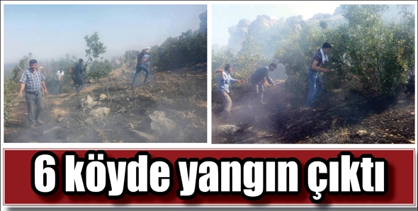 6 K&Ouml;YDE YANGIN &Ccedil;IKTI