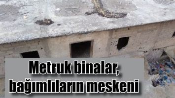 METRUK BİNALAR, BAĞIMLILARIN MESKENİ