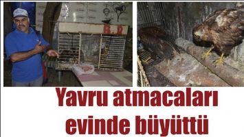 YAVRU ATMACALARI EVİNDE B&Uuml;Y&Uuml;TT&Uuml;