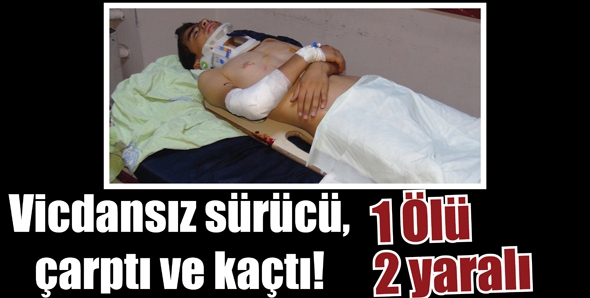 VİCDANSIZ S&Uuml;R&Uuml;C&Uuml;, &Ccedil;ARPTI VE KA&Ccedil;TI!