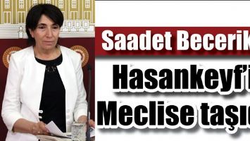 BECERİKLİ, HASANKEYF&rsquo;İ MECLİSE TAŞIDI