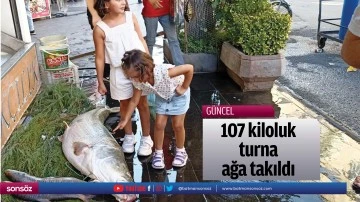 107 kiloluk turna, ağa takıldı